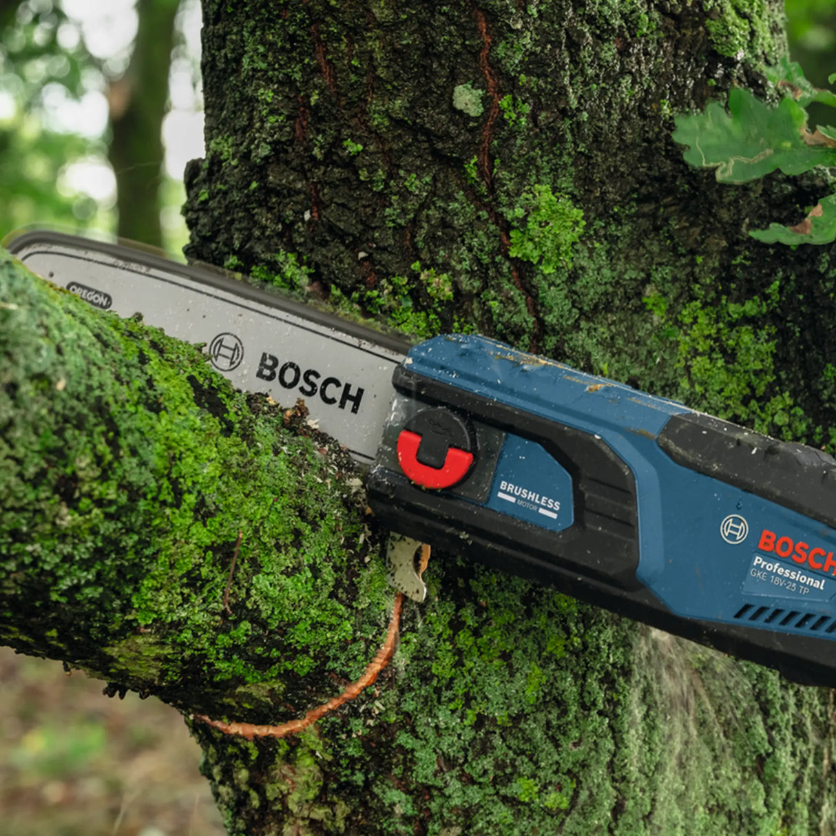 Svettatoio Telescopico Bosch GKE 18V-25 TP