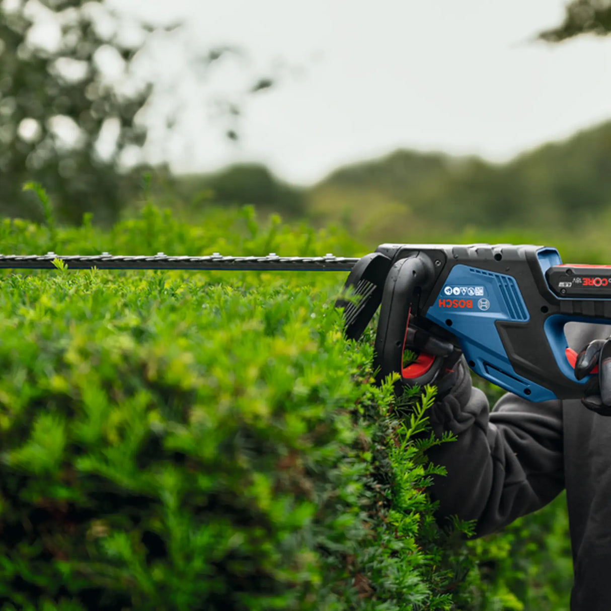 Tagliasiepi Bosch GHE 18V-60 II