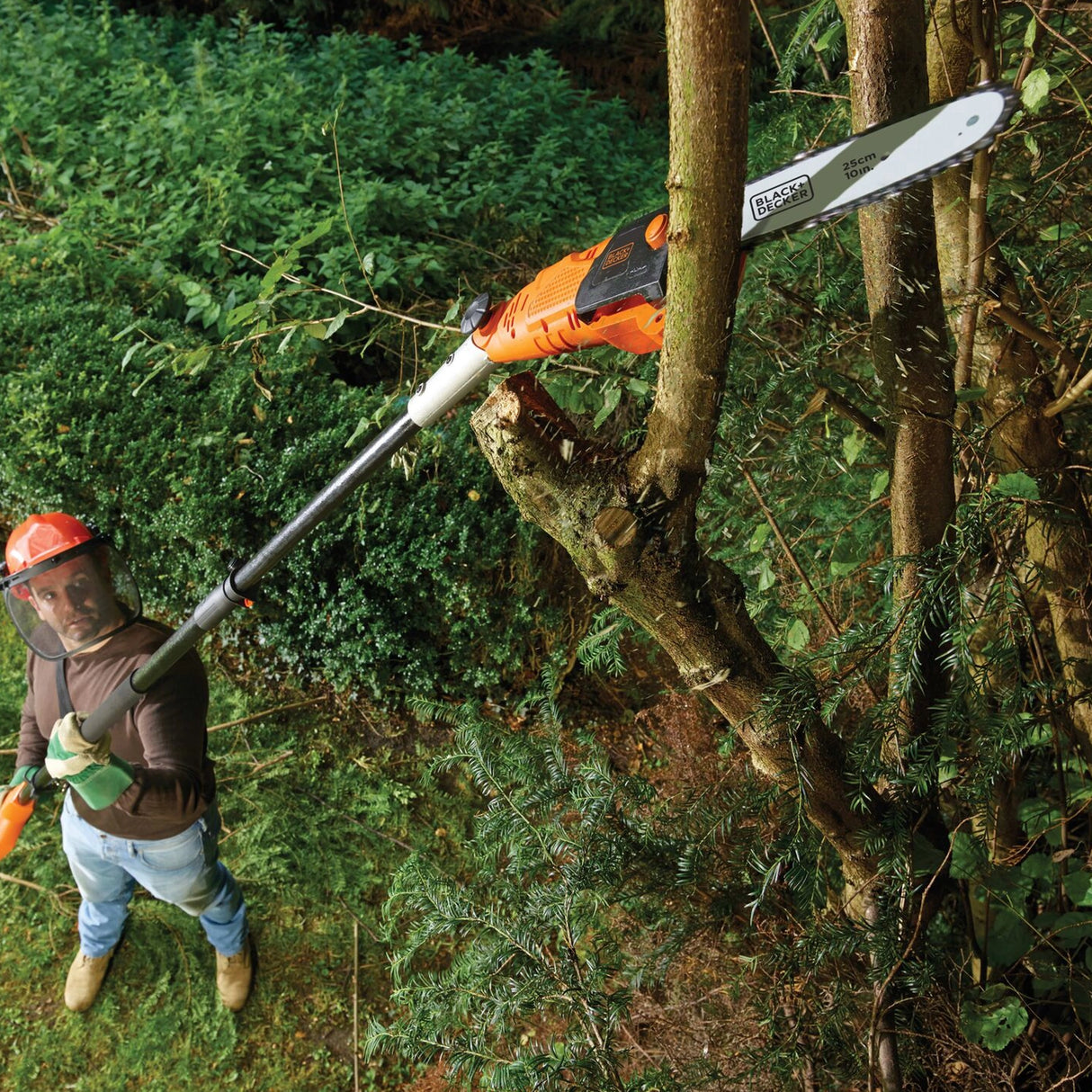 Sega Potatrice Black+Decker PS7525-QS 800W