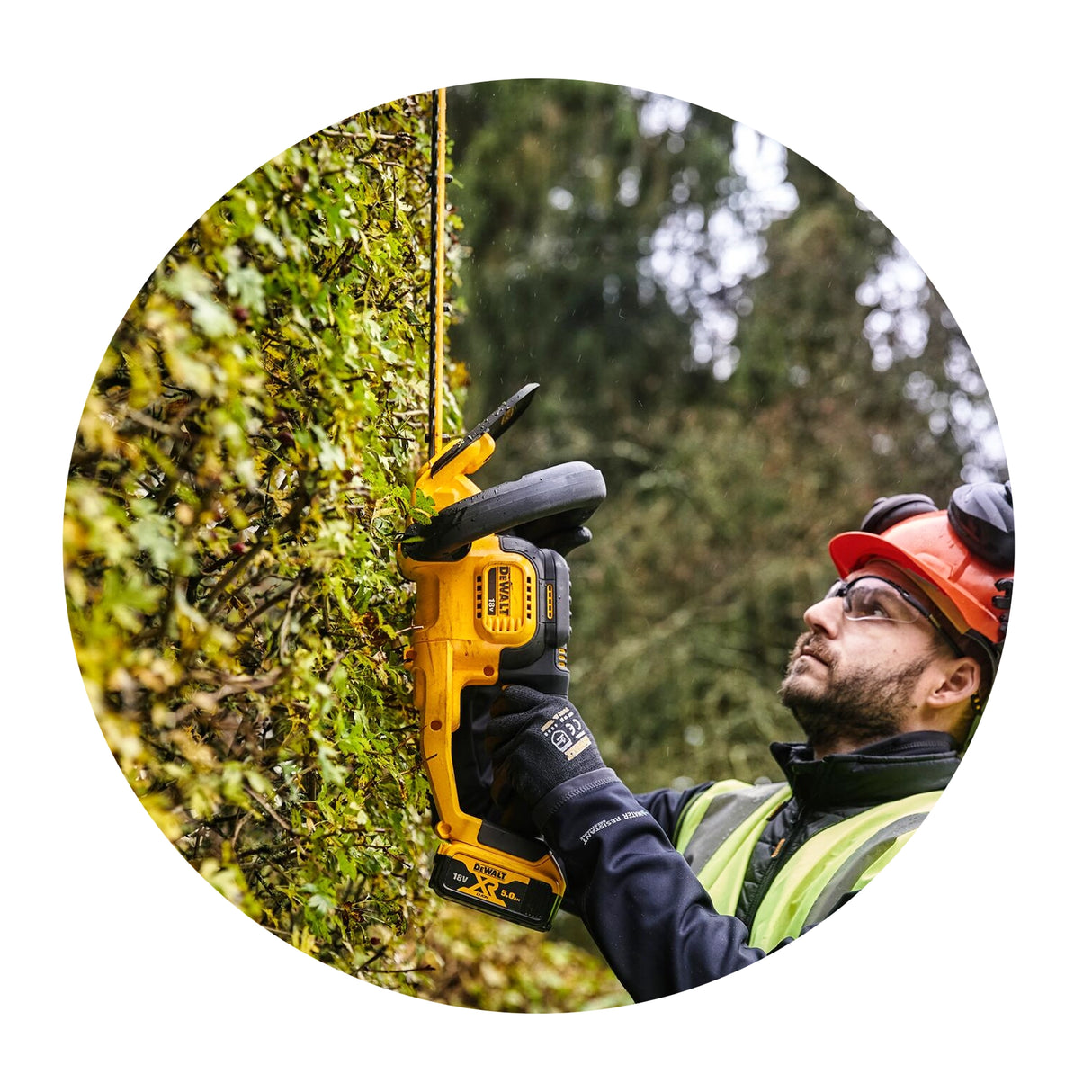 Tagliasiepi Dewalt DCMHT564P1-QW 18V 5Ah