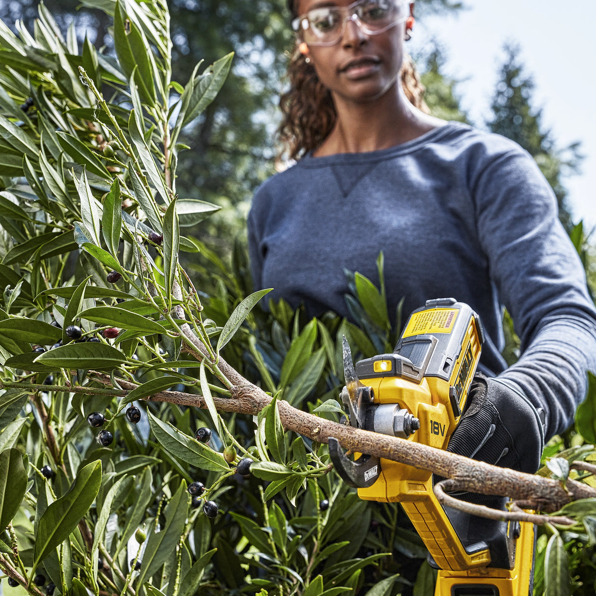 Potatore manuale Dewalt DCMPP568P1-QW 18V 5Ah