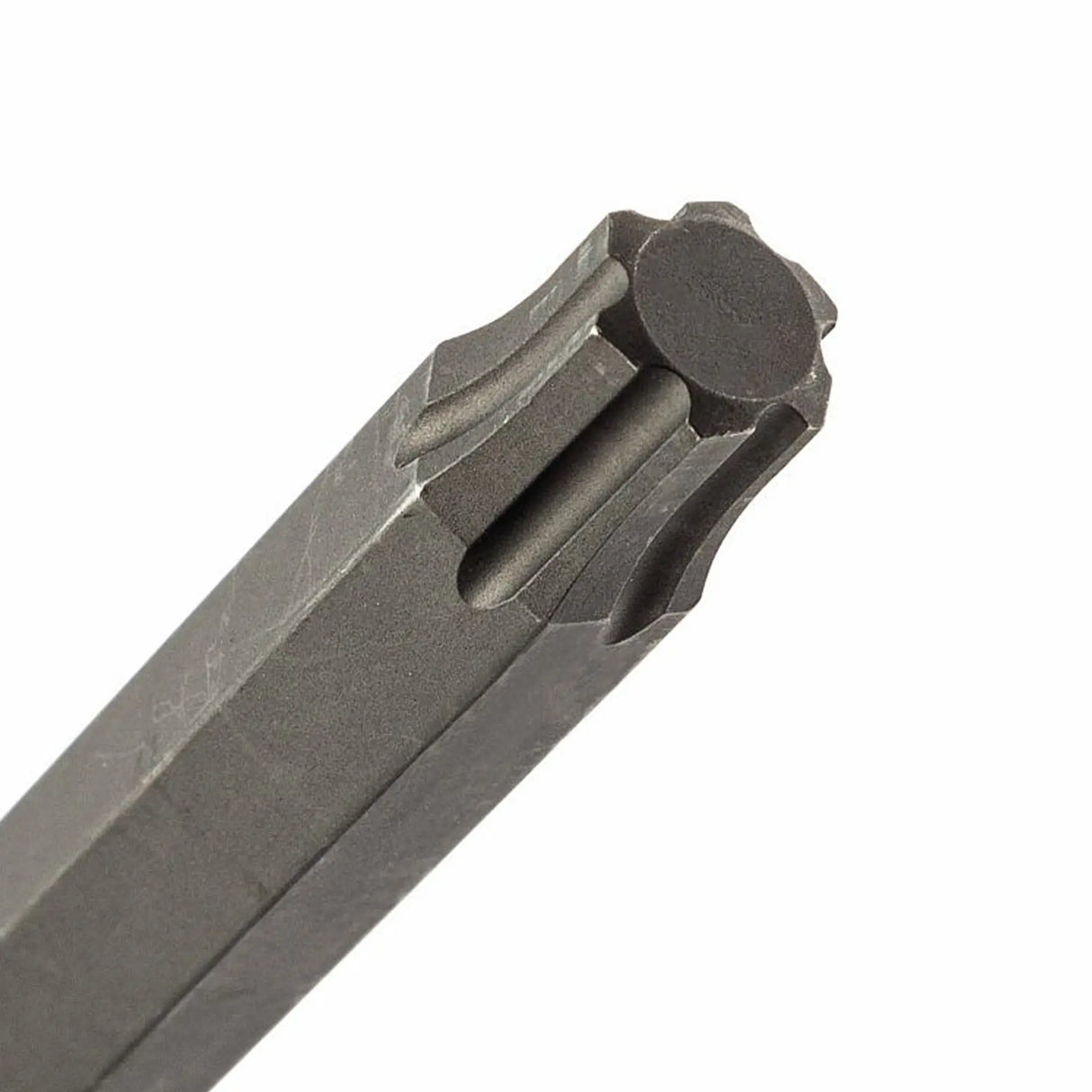 Modulo Spugna Bicolore Usag 519 M 280HX con 6 pezzi