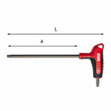 Modulo Spugna Bicolore Usag 519 M 280HX con 6 pezzi