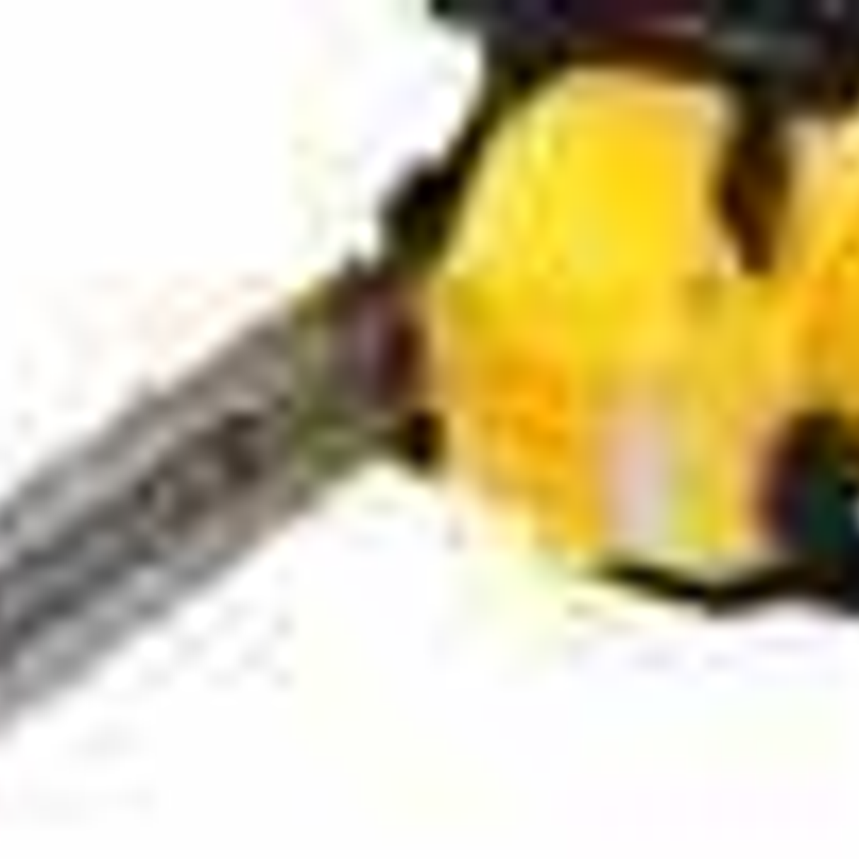 SFMCCS730M1-QW - Elektrische kettingzaag Stanley Fatmax SFMCCS730 20V 4Ah - Afbeelding 25