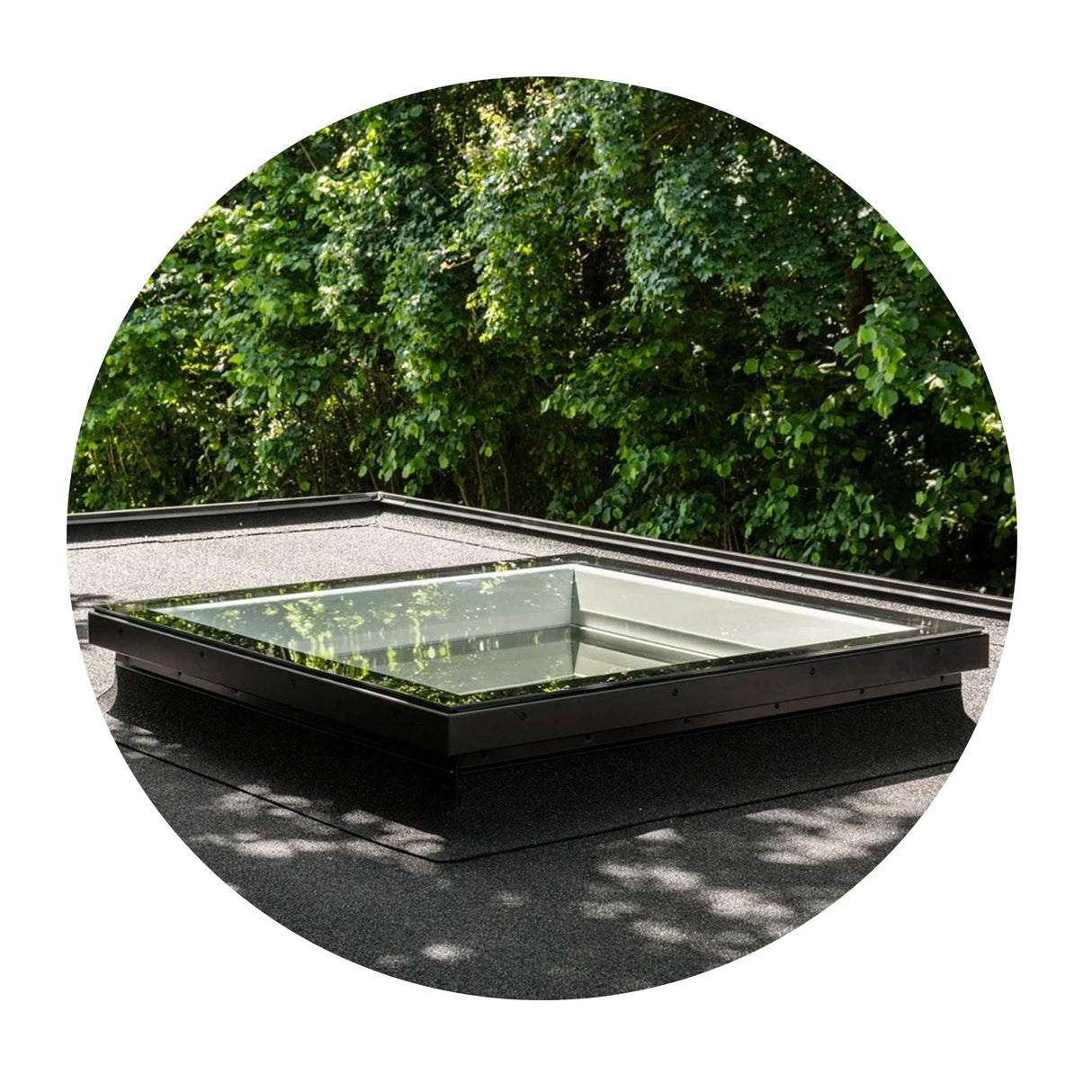 Vetro piano temprato Velux per CFU/CVU